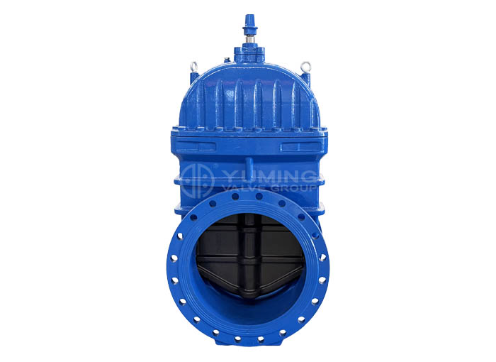 Big size ductile iron material flange gate valve